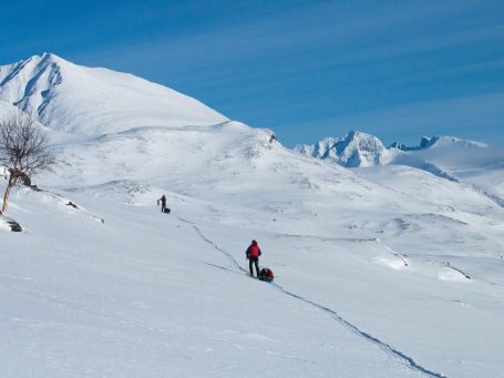 Sarek expédition polaire